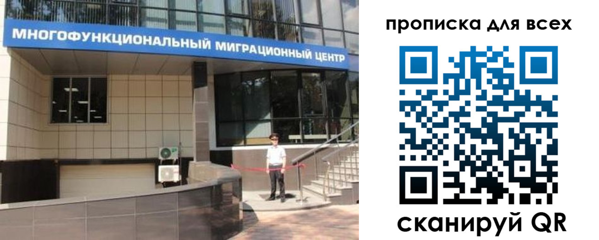 форма 3 в Сольцах